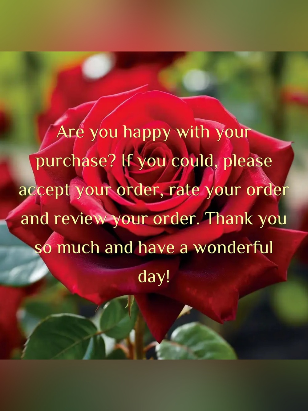 Red Rose - please read before you make a purchase 😻